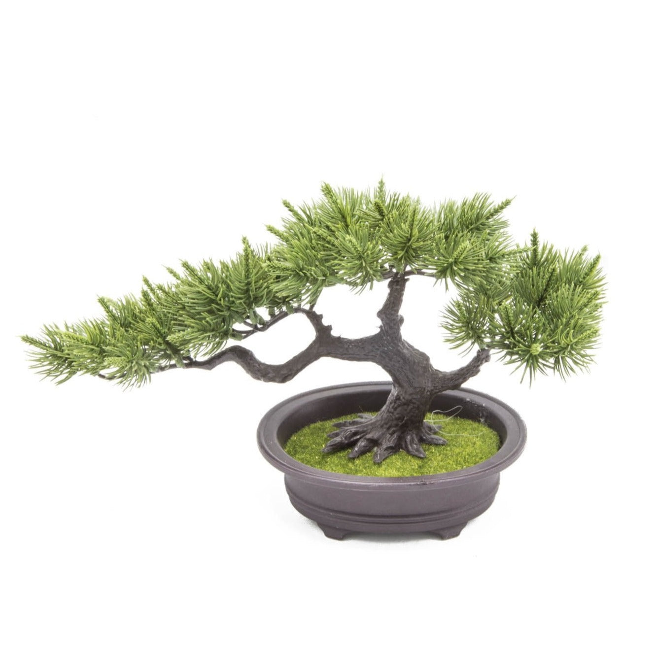 Bonsai Plástico Macetero Negro - 0451-2 - DEMIALMA