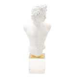 Busto hombre base transparente - W8000-1148 - 32 x 14 x 12 cm - DEMIALMA