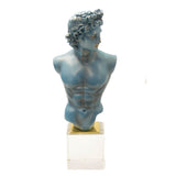 Busto Hombre - W8000-1148 - 33 x 14 x 13 - DEMIALMA