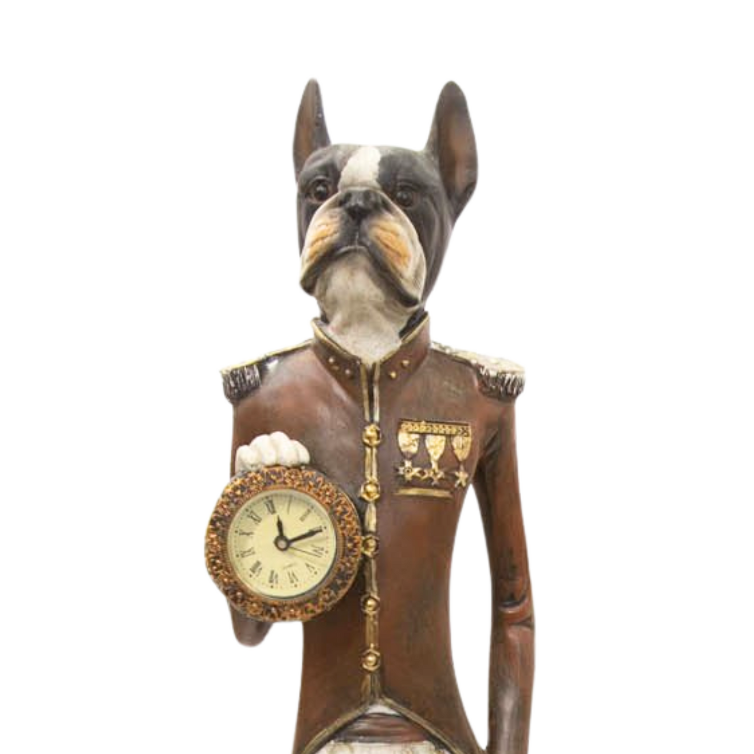 Perro con Reloj - NT1596300