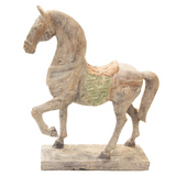 Caballo MYJ131102
