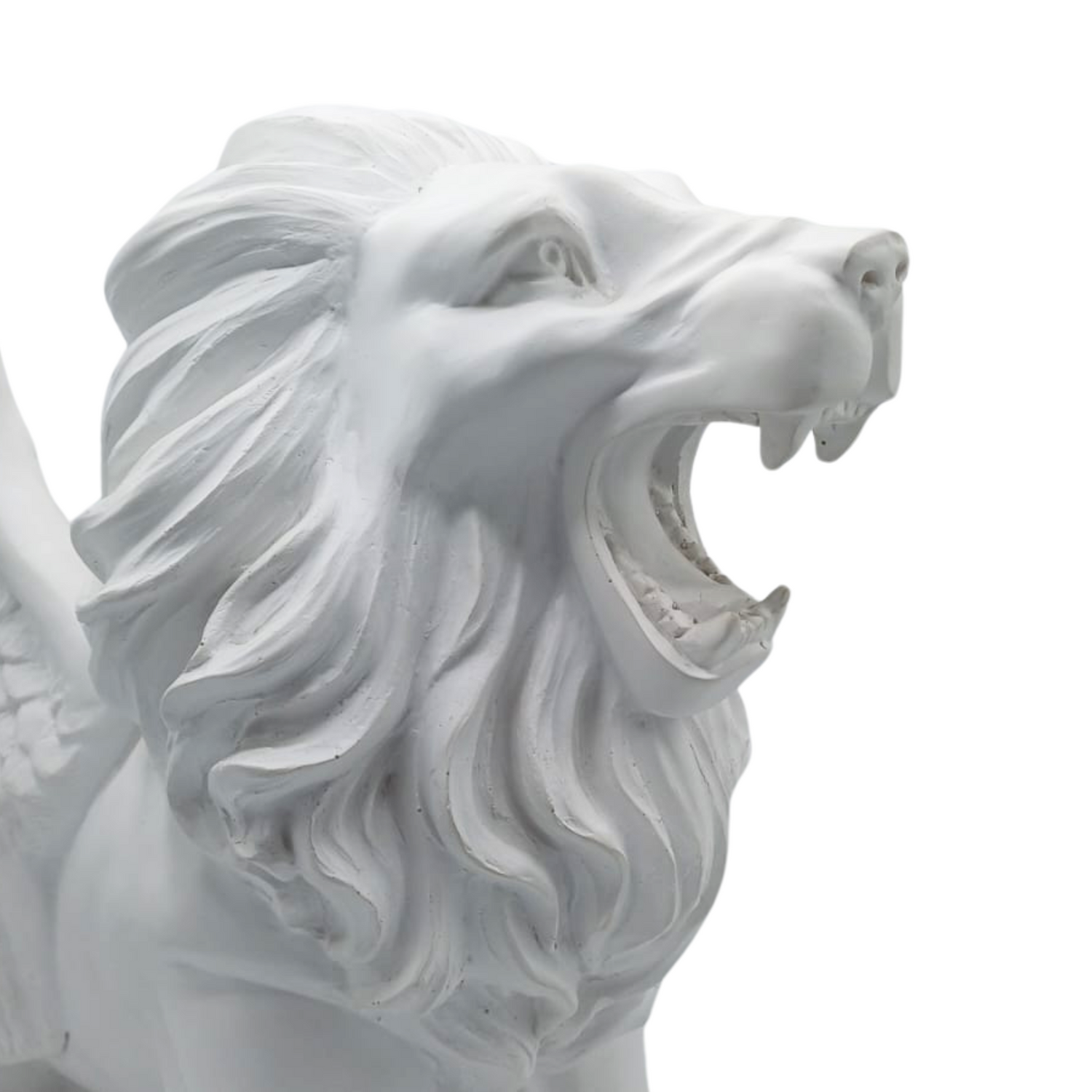 Leon Alas Blanco Grande W8000-1168