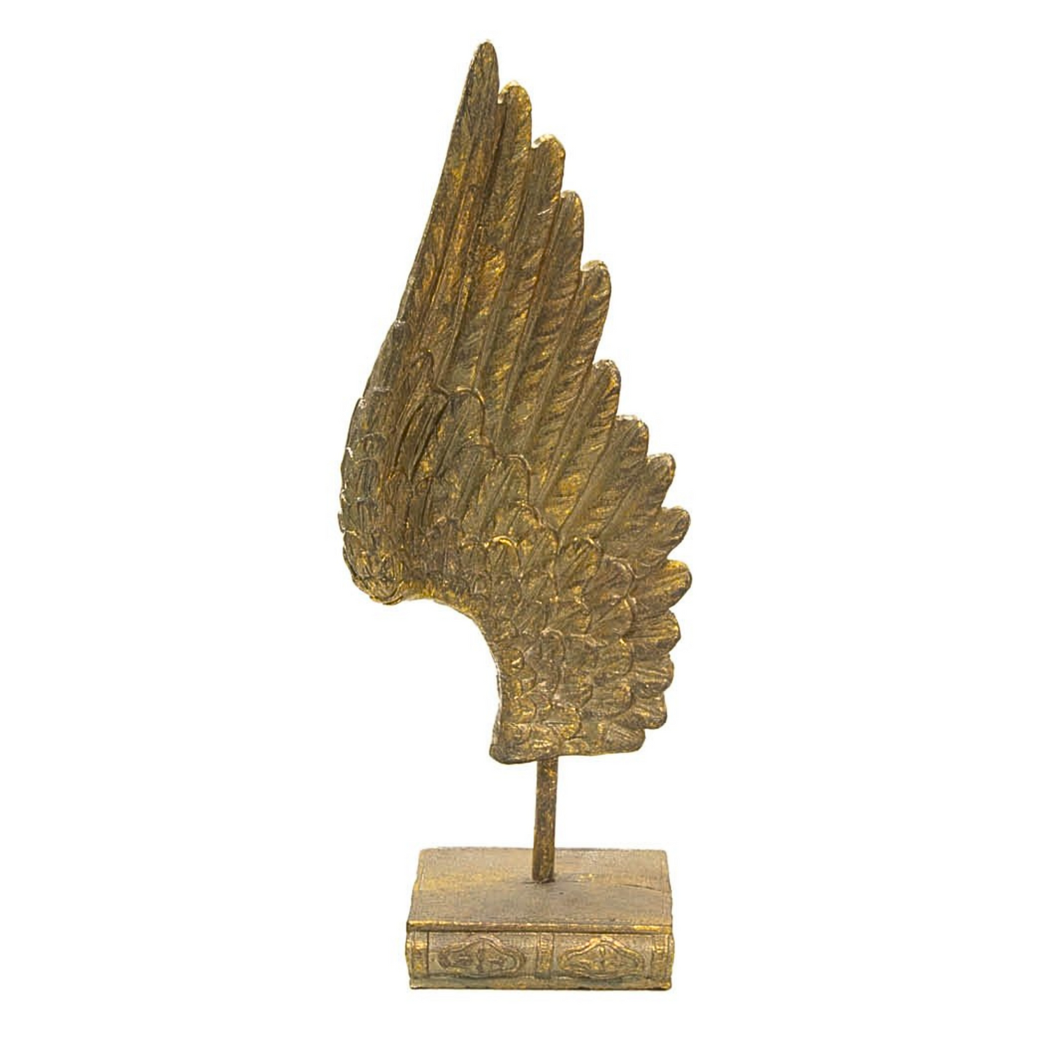 Ala Pluma Dorada - 1991401
