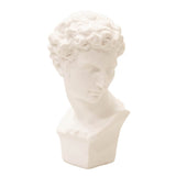 Busto David BJ1121F - DEMIALMA