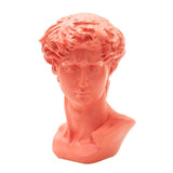 Busto David Coral BJ1121-9 - DEMIALMA